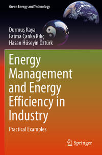Vorderes Coverbild Energy Management and Energy Efficiency in Industry