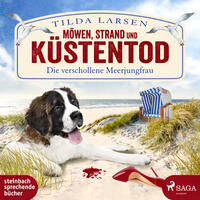 Vorderes Coverbild Möwen, Strand und Küstentod - Die verschollene Meerjungfrau