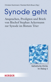 Vorderes Coverbild Synode geht