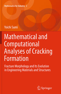 Vorderes Coverbild Mathematical and Computational Analyses of Cracking Formation