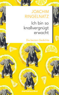Vorderes Coverbild Ich bin so knallvergnügt erwacht