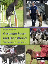 Vorderes Coverbild Gesunder Sport- und Diensthund