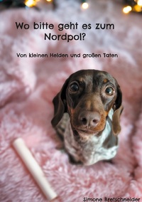 Vorderes Coverbild Wo bitte geht es zum Nordpol?