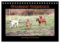 Vorderes Coverbild Rhodesian Ridgeback unterwegs mit Freunden (Tischkalender 2025 DIN A5 quer), CALVENDO Monatskalender
