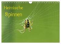 Vorderes Coverbild Heimische Spinnen (Wandkalender 2025 DIN A4 quer), CALVENDO Monatskalender