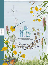 Vorderes Coverbild Die Pfütze