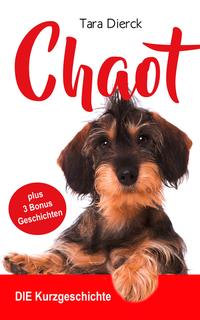 Vorderes Coverbild Chaot DIE Kurzgeschichte