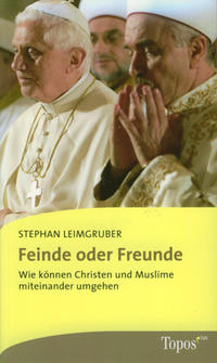 Vorderes Coverbild Feinde oder Freunde