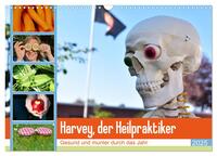 Vorderes Coverbild Harvey, der Heilpraktiker (Wandkalender 2025 DIN A3 quer), CALVENDO Monatskalender