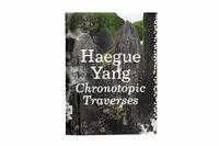 Vorderes Coverbild Haegue Yang: Chronotopic Traverses / Traversée Chronotopique