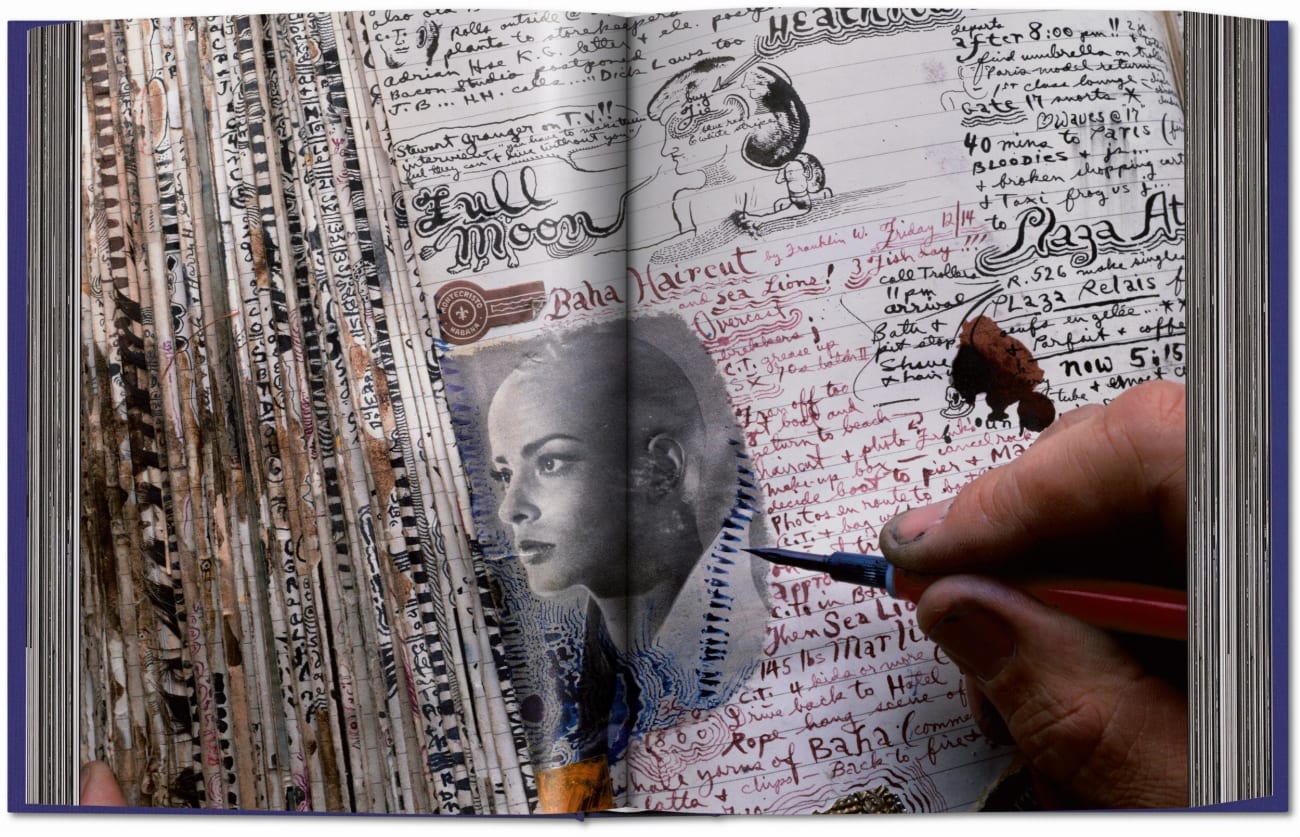 Beispielinhalt (Bild) Peter Beard