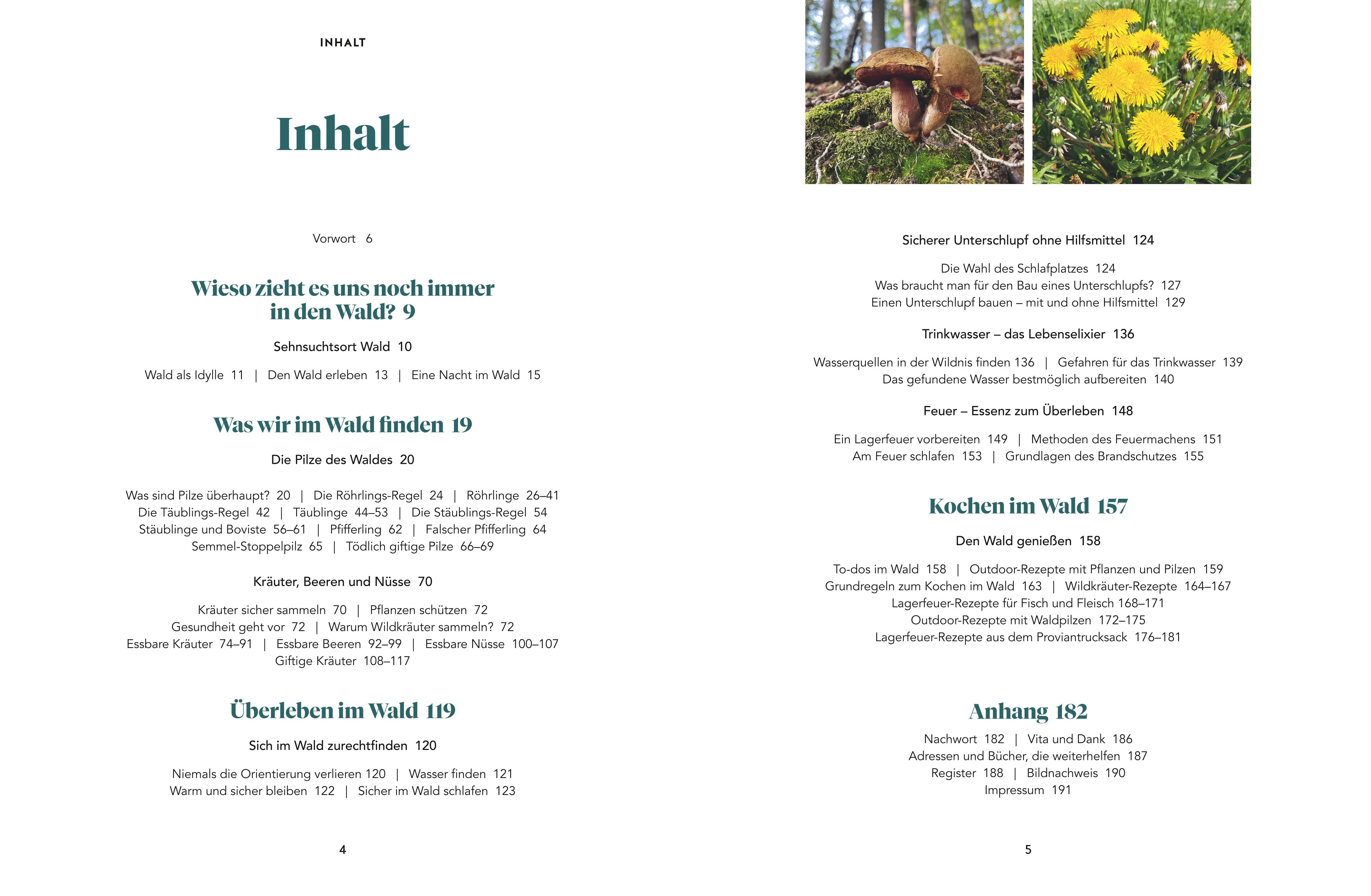 Beispielinhalt (Bild) Abenteuer Wald