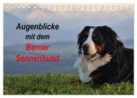 Vorderes Coverbild Augenblicke mit dem Berner Sennenhund (Tischkalender 2025 DIN A5 quer), CALVENDO Monatskalender