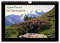 Vorderes Coverbild Alpine Flora in der Homöopathie (Wandkalender 2025 DIN A4 quer), CALVENDO Monatskalender