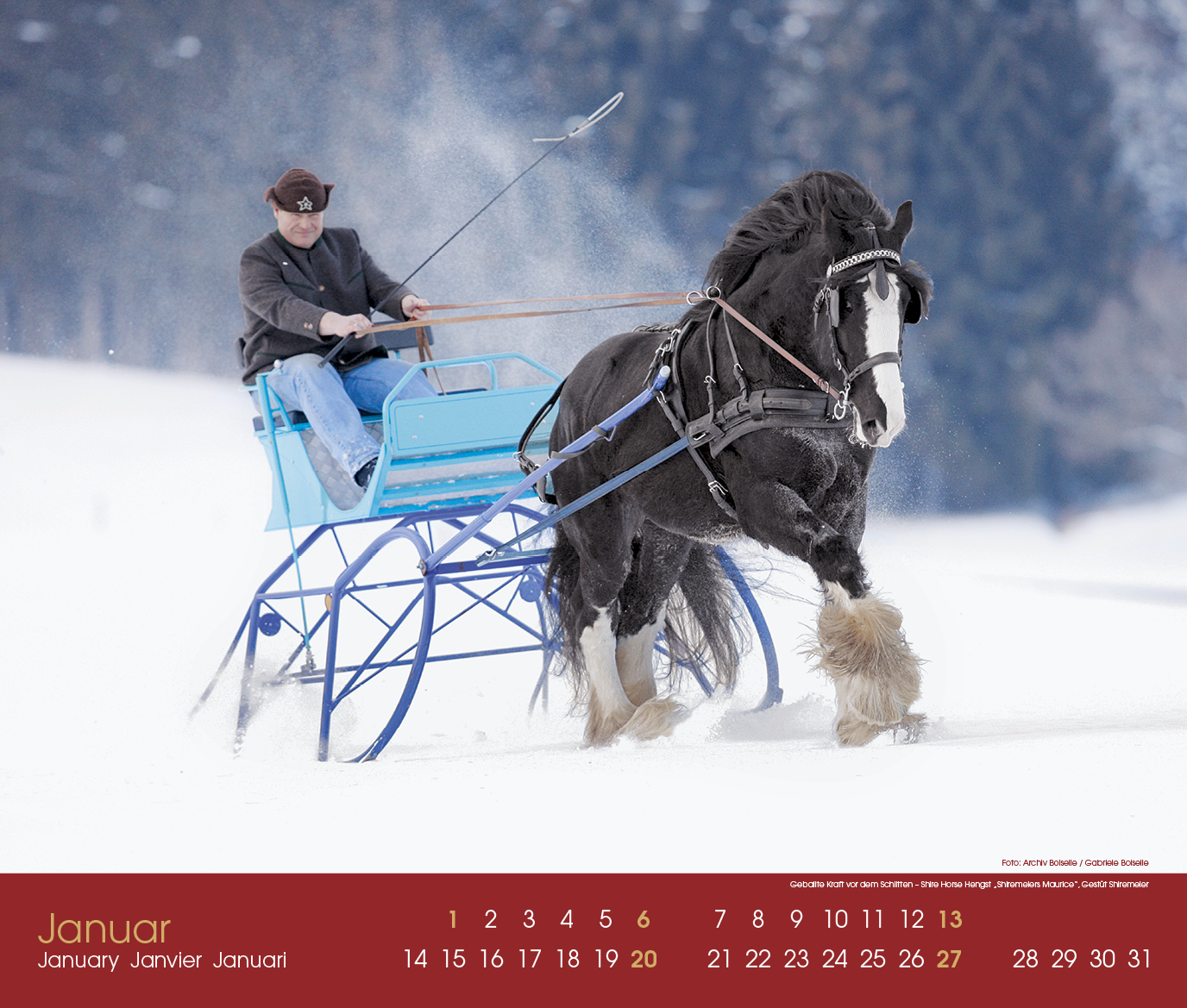 Beispielinhalt (Bild) Fahren 2019