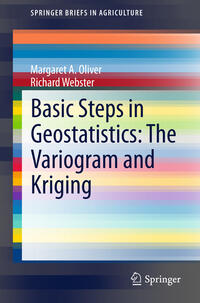 Vorderes Coverbild Basic Steps in Geostatistics: The Variogram and Kriging