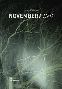 Vorderes Coverbild Novemberwind