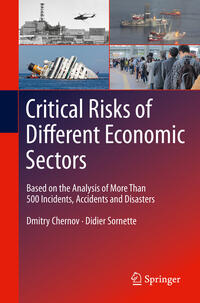 Vorderes Coverbild Critical Risks of Different Economic Sectors
