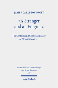 Vorderes Coverbild "A Stranger and an Enigma"