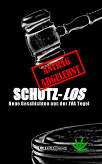 Vorderes Coverbild Schutzlos
