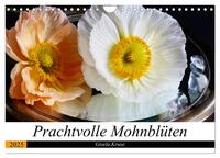 Vorderes Coverbild Prachtvolle Mohnblüten (Wandkalender 2025 DIN A4 quer), CALVENDO Monatskalender