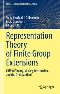 Vorderes Coverbild Representation Theory of Finite Group Extensions