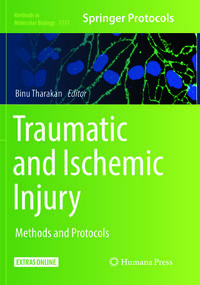 Vorderes Coverbild Traumatic and Ischemic Injury