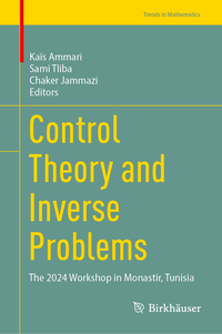 Vorderes Coverbild Control Theory and Inverse Problems