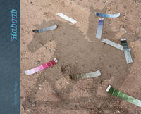 Vorderes Coverbild Andrew Phelps – HABOOB