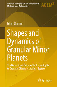 Vorderes Coverbild Shapes and Dynamics of Granular Minor Planets