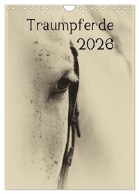 Vorderes Coverbild Traumpferde 2026 (Wandkalender 2026 DIN A4 hoch), CALVENDO Monatskalender