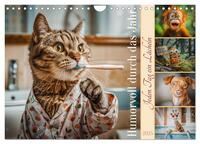 Vorderes Coverbild Humorvoll durch das Jahr (Wandkalender 2025 DIN A4 quer), CALVENDO Monatskalender