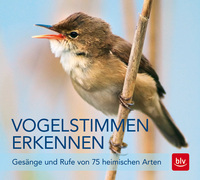 Vorderes Coverbild Vogelstimmen erkennen / CD