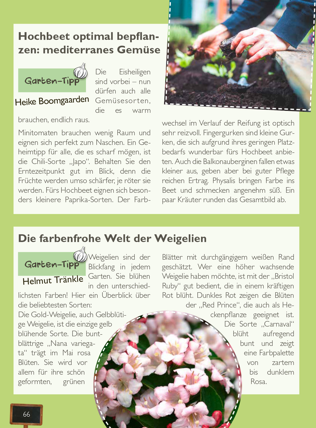 Beispielinhalt (Bild) Durchs Jahr 2025 mit KAFFEE ODER TEE