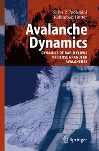 Vorderes Coverbild Avalanche Dynamics