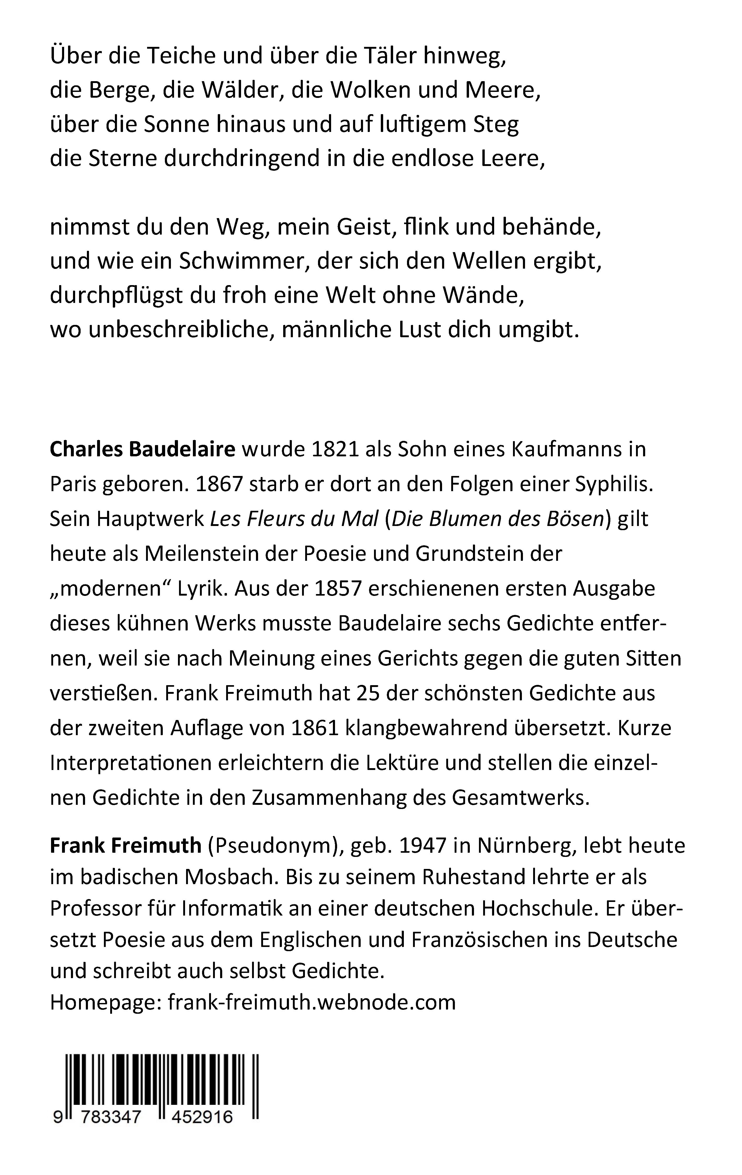 Rückseitencover Baudelaire fürs Handgepäck