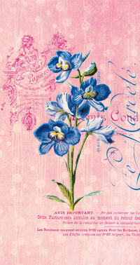 Vorderes Coverbild Die Gärten der Künstler Schmales Notizheft Motiv Blaue Blume