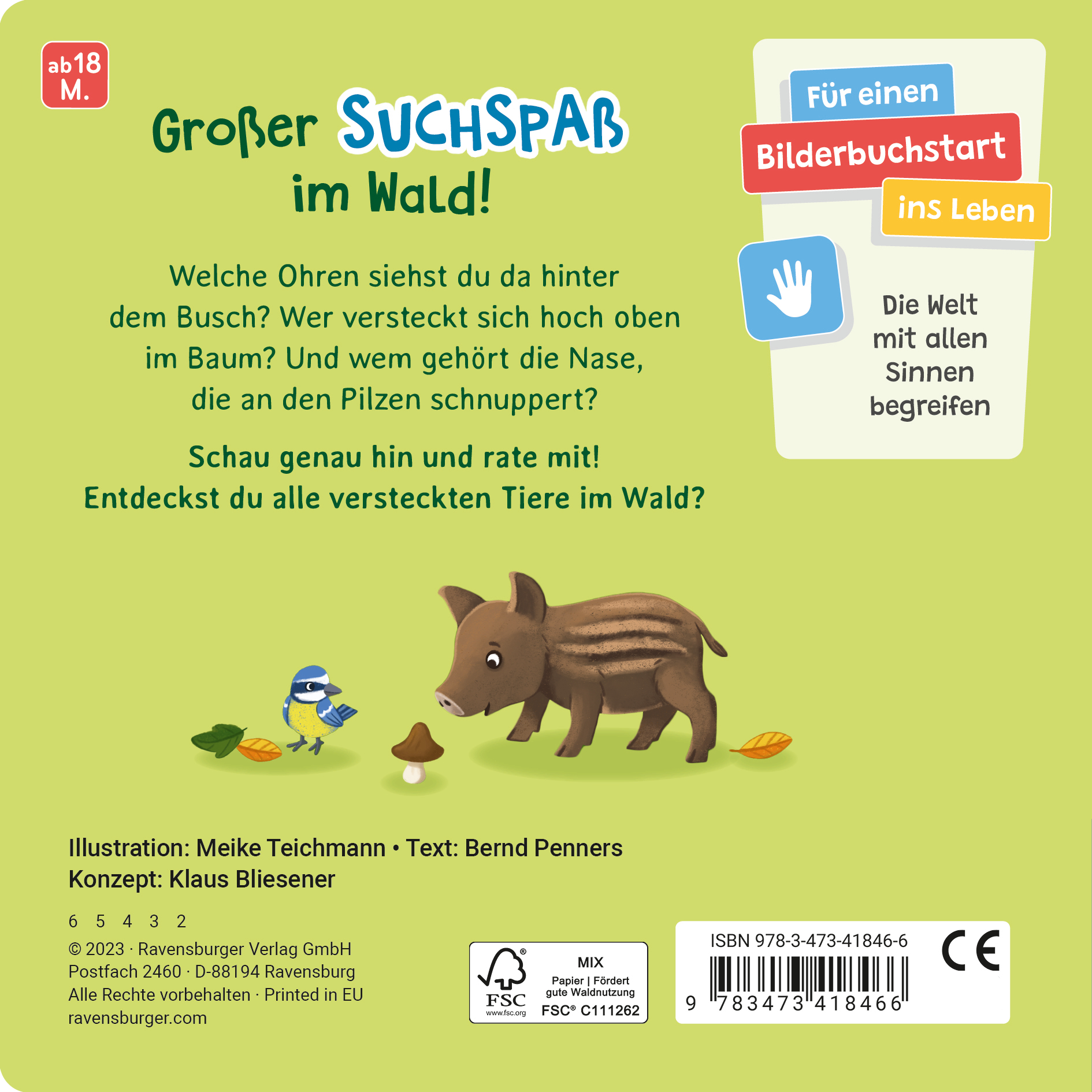 Rückseitencover Rate mal - Wer sitzt im Wald?