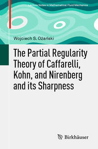 Vorderes Coverbild The Partial Regularity Theory of Caffarelli, Kohn, and Nirenberg and its Sharpness