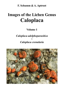 Vorderes Coverbild Images of the Lichen Genus Caloplaca, Vol 1