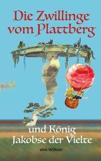Vorderes Coverbild Die Zwillinge vom Plattberg