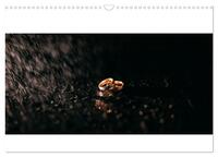 Vorderes Coverbild Trauringe (Wandkalender 2025 DIN A3 quer), CALVENDO Monatskalender