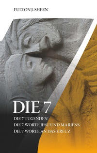 Vorderes Coverbild Die 7