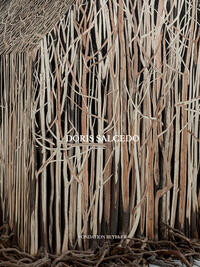 Vorderes Coverbild Doris Salcedo