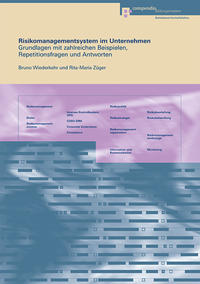 Vorderes Coverbild Risikomanagementsystem im Unternehmen