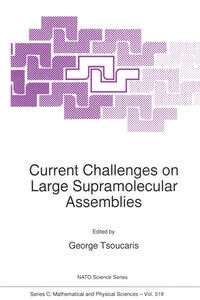 Vorderes Coverbild Current Challenges on Large Supramolecular Assemblies