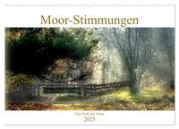 Vorderes Coverbild Moor-Stimmungen (Wandkalender 2025 DIN A2 quer), CALVENDO Monatskalender