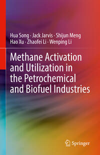 Vorderes Coverbild Methane Activation and Utilization in the Petrochemical and Biofuel Industries