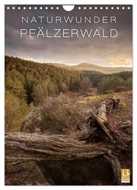 Vorderes Coverbild NATURWUNDER PFÄLZERWALD (Wandkalender 2026 DIN A4 hoch), CALVENDO Monatskalender