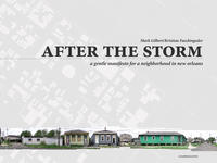 Vorderes Coverbild After the Storm